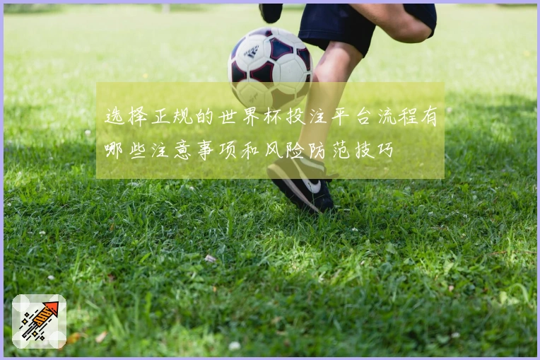 选择正规的世界杯投注平台流程有哪些注意事项和风险防范技巧