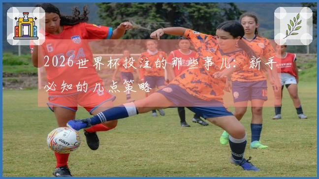 2026世界杯投注的那些事儿：新手必知的几点策略