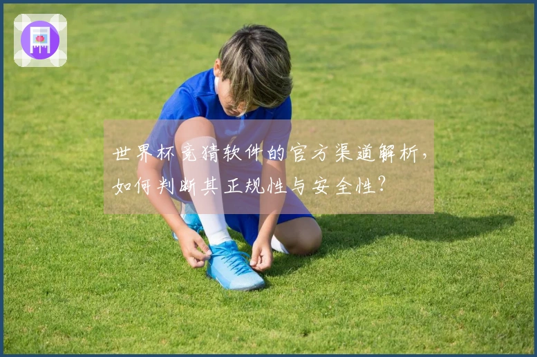 世界杯竞猜软件的官方渠道解析，如何判断其正规性与安全性？