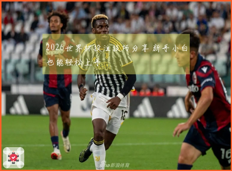 2026世界杯投注技巧分享 新手小白也能轻松上手